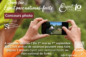Le Parc national de forêts lance un grand concours pour les 10 ans de la marque Esprit parc national ! 